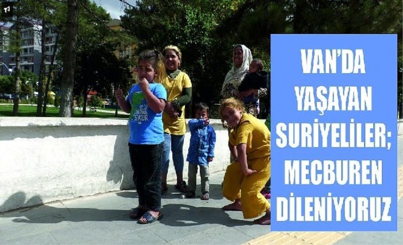 Van’da yaşayan Suriyeliler; Mecburen dileniyoruz