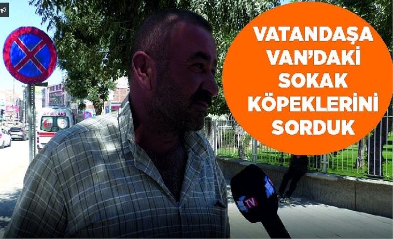 Vatandaşa Van’daki sokak köpeklerini sorduk