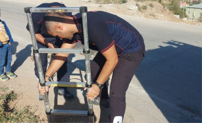 Yağmur suyu kanalına düşen kuzuyu itfaiye kurtardı