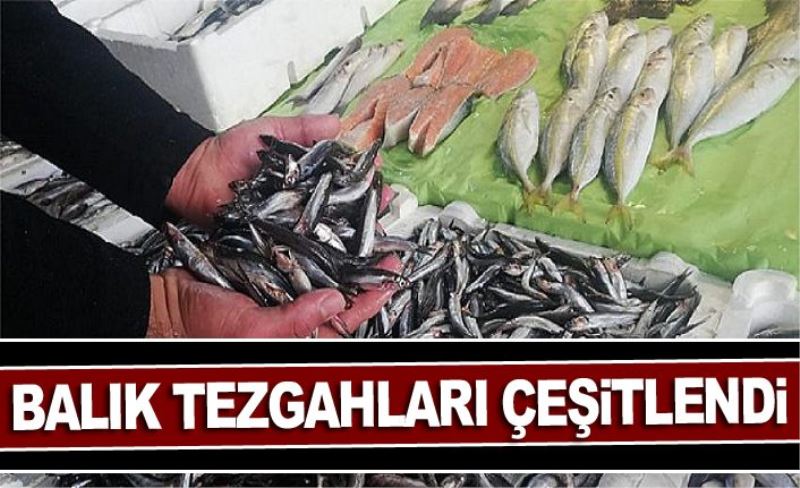 Balık tezgahları çeşitlendi