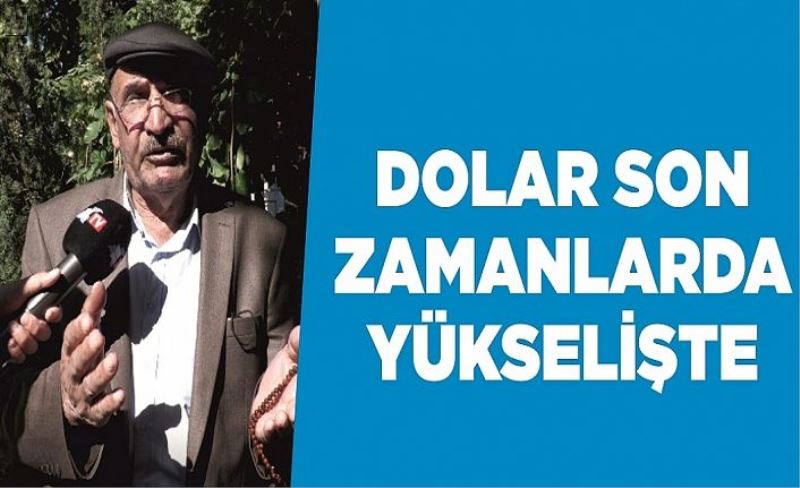 Dolar son zamanlarda yükselişte