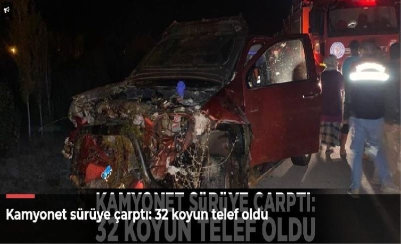 Kamyonet sürüye çarptı: 32 koyun telef oldu