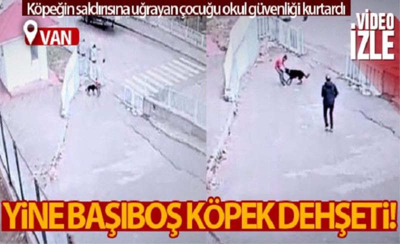 Köpeğin saldırısına uğrayan çocuğu okul güvenliği kurtardı