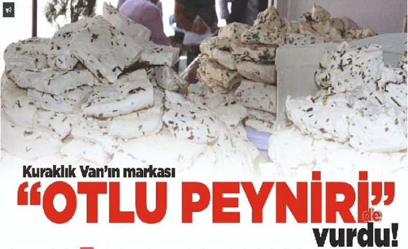 Kuraklık Van’ın markası “otlu peyniri” de vurdu!