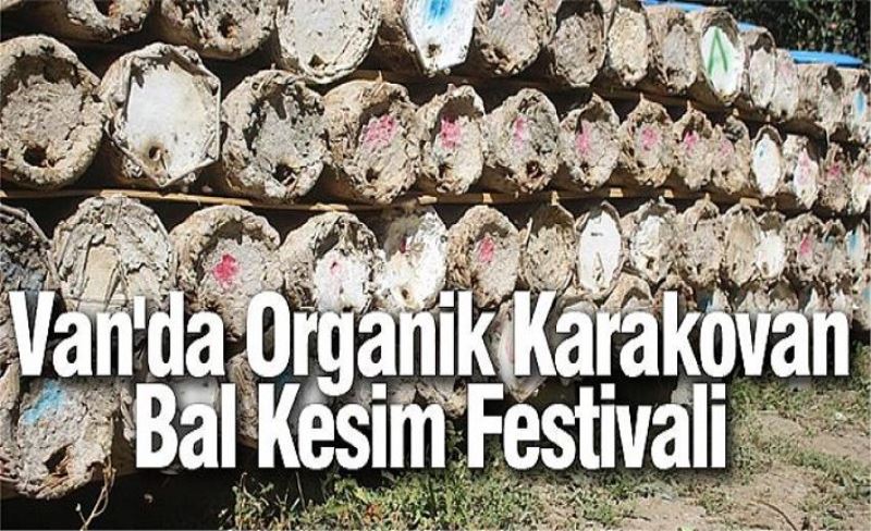 Van'da Organik Karakovan Bal Kesim Festivali