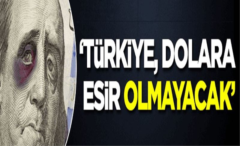 'Bir süre daha böyle boğuşacağız ama Türkiye, dolara esir olmayacak'