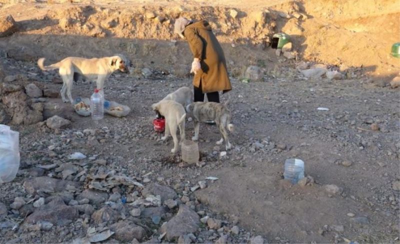 Can dostlar 2 çocuk annesi Şükran’a emanet