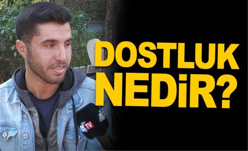 Dostluk nedir?