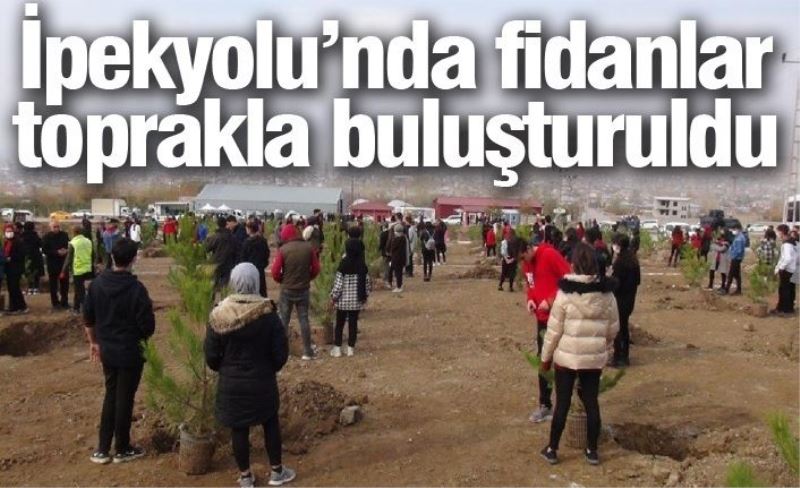 İpekyolu’nda fidanlar toprakla buluşturuldu