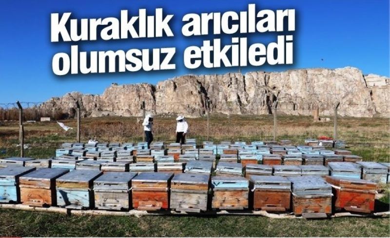 Kuraklık arıcıları olumsuz etkiledi