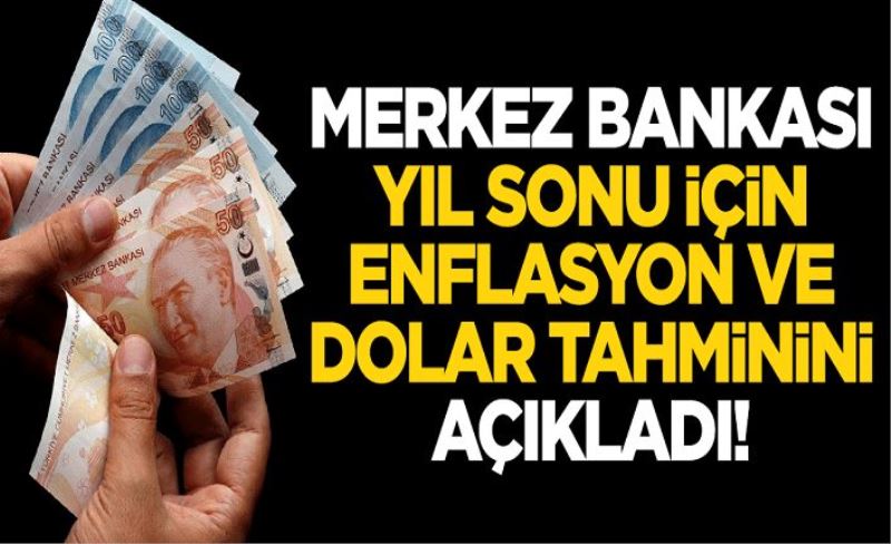 Merkez Bankası yıl sonu için enflasyon ve dolar tahminini açıkladı!