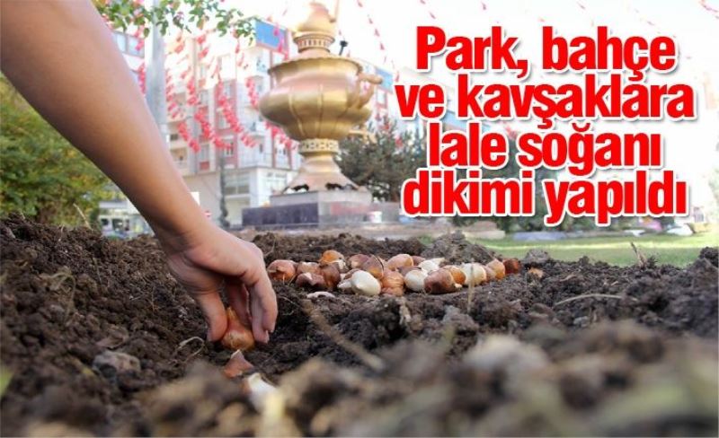 Park, bahçe ve kavşaklara lale soğanı dikimi yapıldı