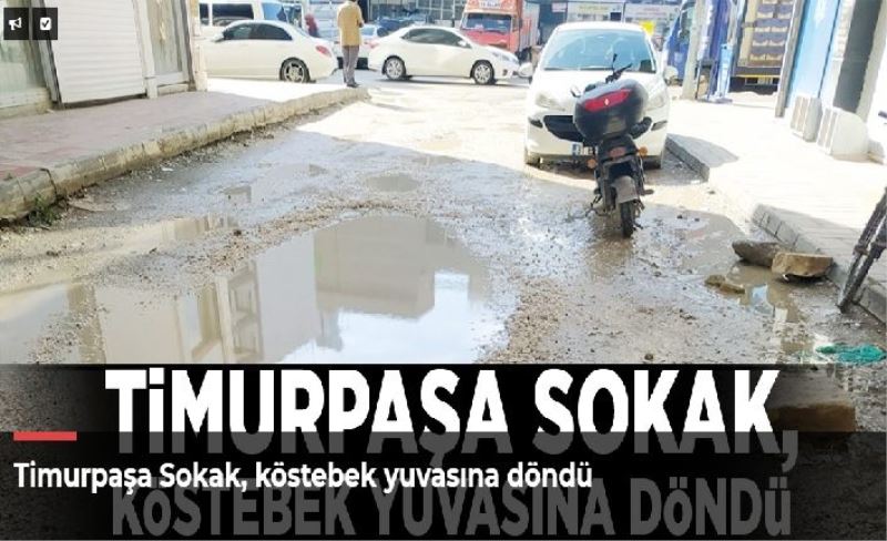 Timurpaşa Sokak, köstebek yuvasına döndü