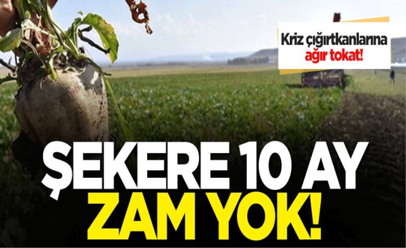 Türkiye Şeker Fabrikaları'ndan açıklama! Şekere 10 ay zam yok