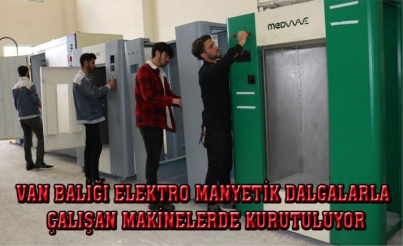 Van Balığı elektromanyetik dalgalarla çalışan makinelerde kurutuluyor