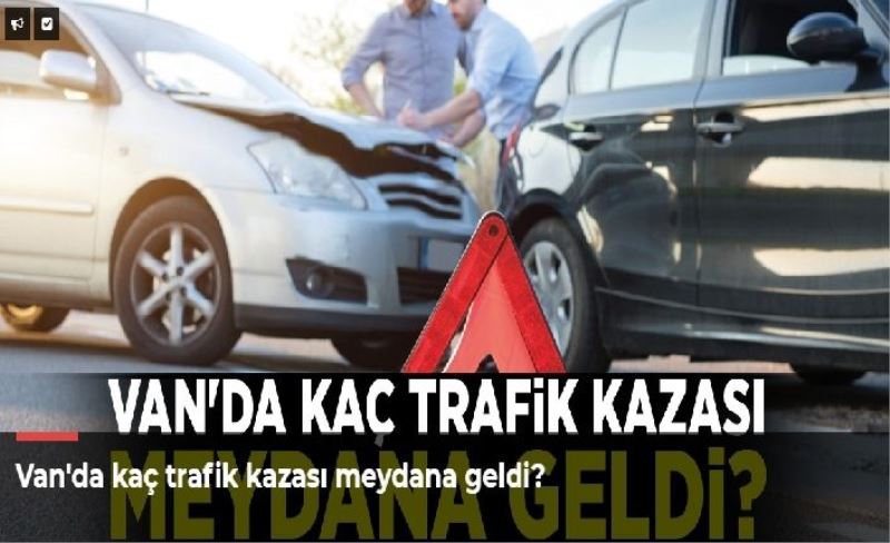 Van'da kaç trafik kazası meydana geldi?