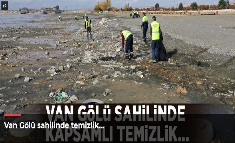 Van Gölü sahilinde temizlik…