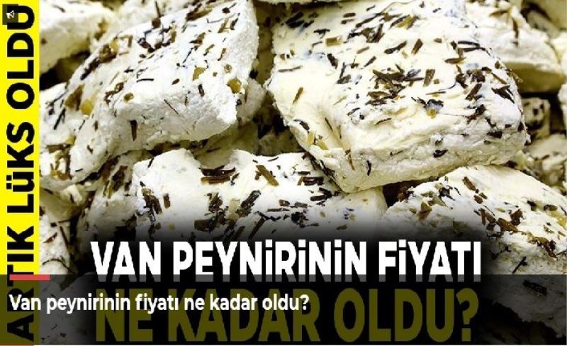 Van peynirinin fiyatı ne kadar oldu?