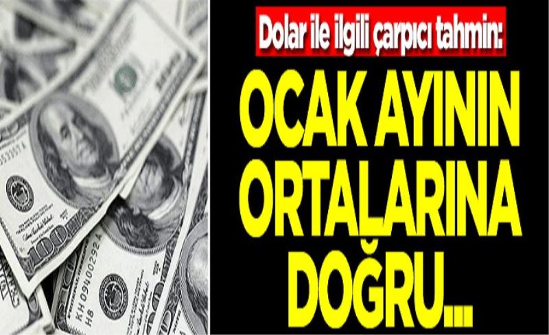 Dolar ile ilgili çarpıcı tahmin: Ocak ayının ortalarına doğru...