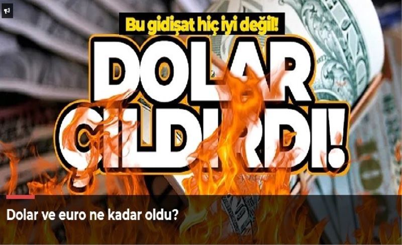 Dolar ve euro ne kadar oldu?