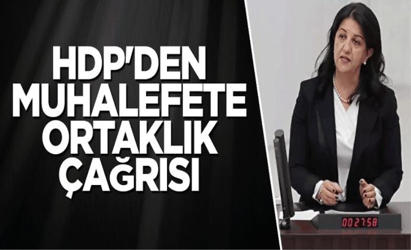 HDP'den muhalefete ortaklık çağrısı