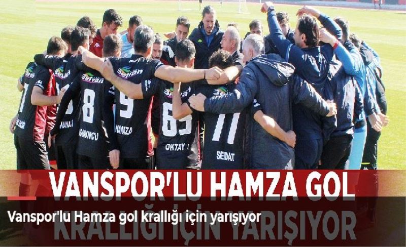 Vanspor'lu Hamza gol krallığı için yarışıyor