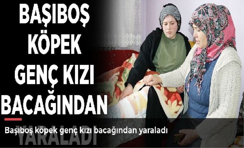 Başıboş köpek genç kızı bacağından yaraladı