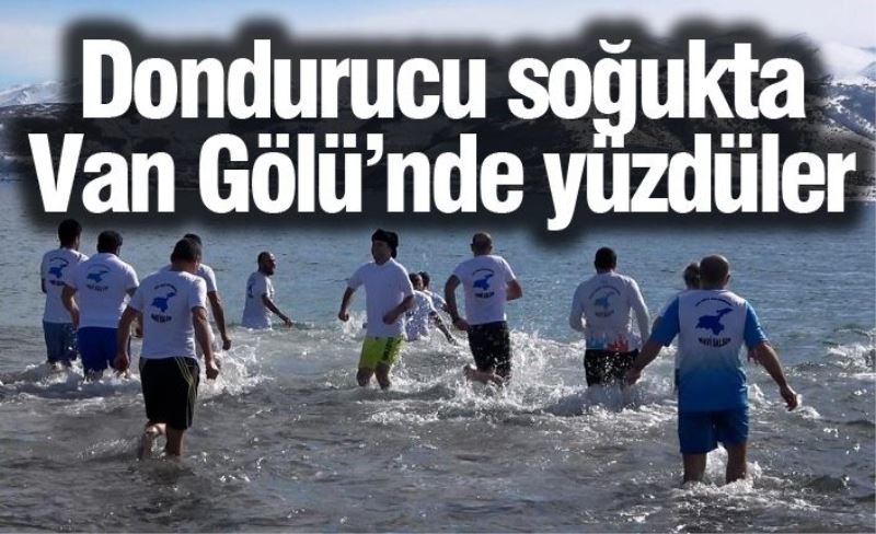 Dondurucu soğukta Van Gölü’nde yüzdüler