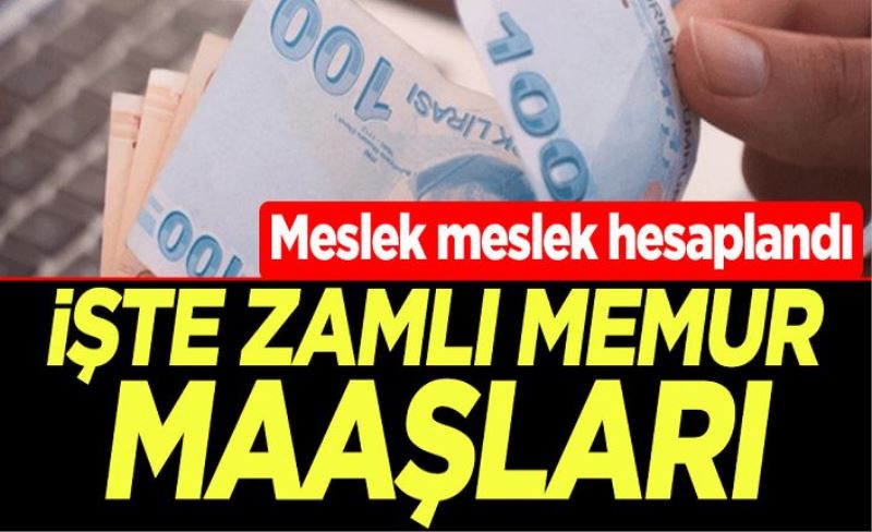 Meslek meslek hesaplandı! İşte zamlı memur maaşları