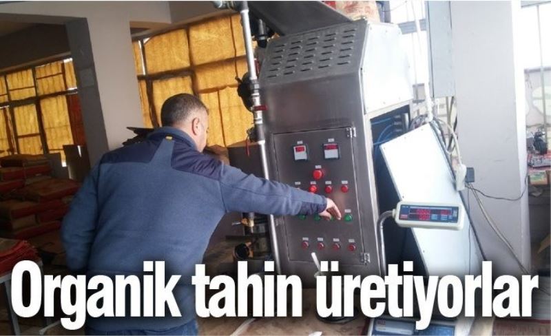 Organik tahin üretiyorlar