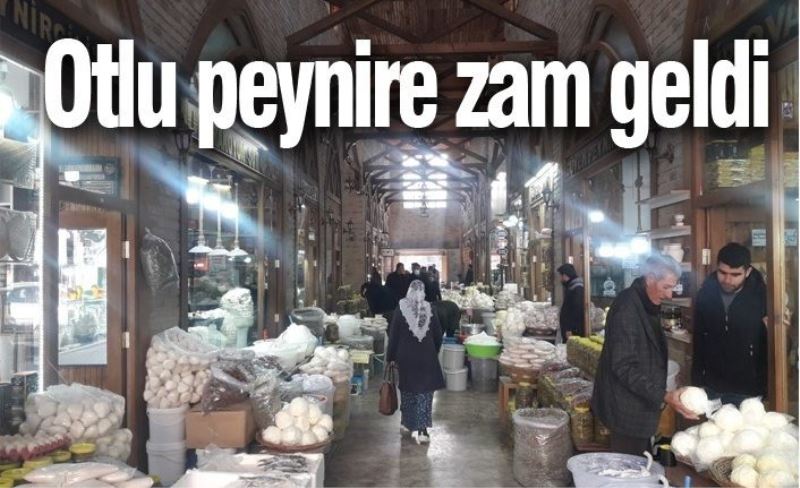 Otlu peynire zam geldi