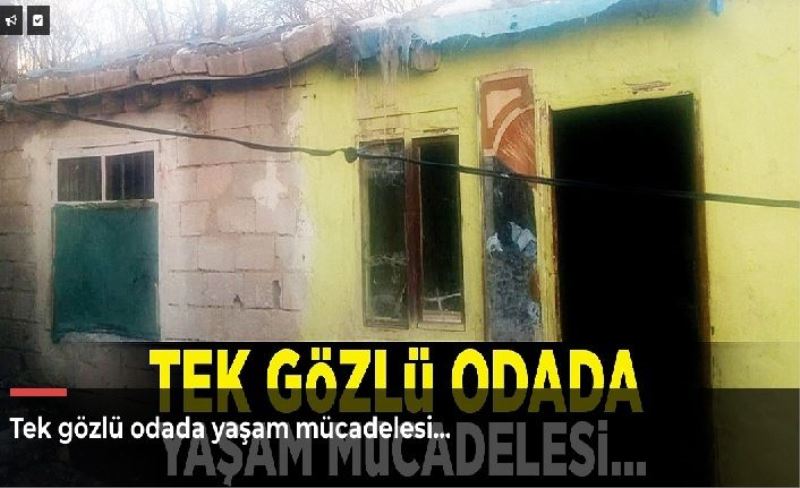 Tek gözlü odada yaşam mücadelesi…