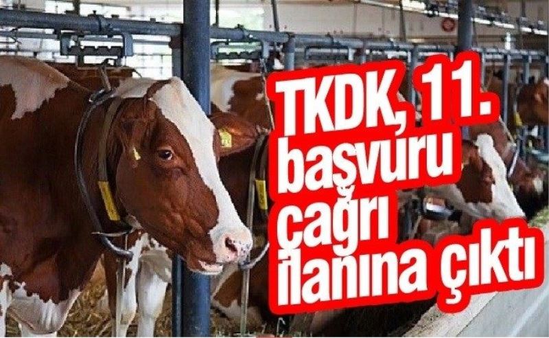 TKDK, 11. başvuru çağrı ilanına çıktı