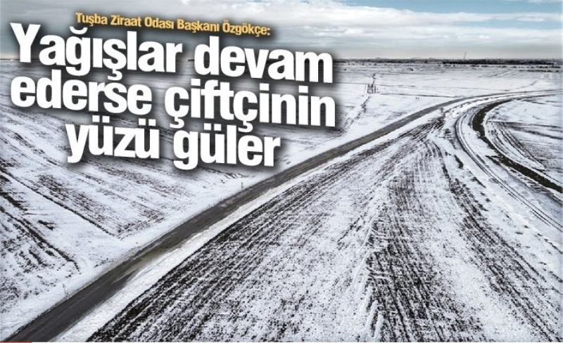 Tuşba Ziraat Odası Başkanı Özgökçe: Yağışlar devam ederse çiftçinin yüzü güler