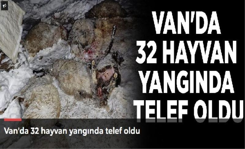 Van'da 32 hayvan yangında telef oldu