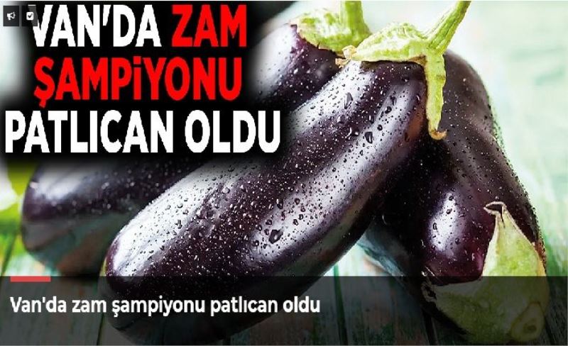 Van'da zam şampiyonu patlıcan oldu