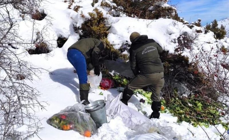 Van’da fırtınada yaban hayvanları unutulmadı