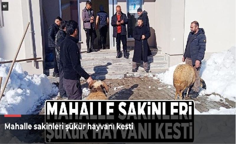 Mahalle sakinleri şükür hayvanı kesti