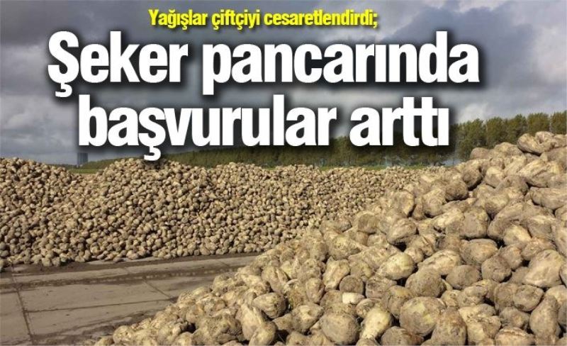 Yağışlar çiftçiyi cesaretlendirdi; Şeker pancarında başvurular arttı