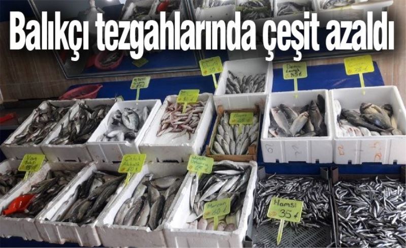 Balıkçı tezgahlarında çeşit azaldı