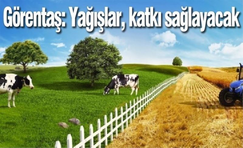 Görentaş: Yağışlar, katkı sağlayacak