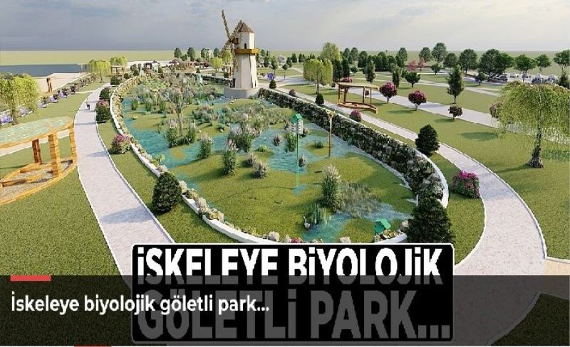 İskeleye biyolojik göletli park...