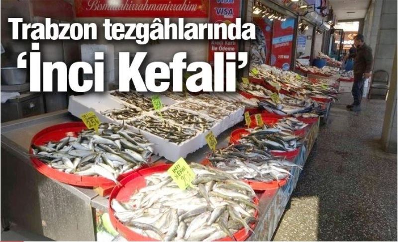 Trabzon tezgâhlarında ‘İnci Kefali’