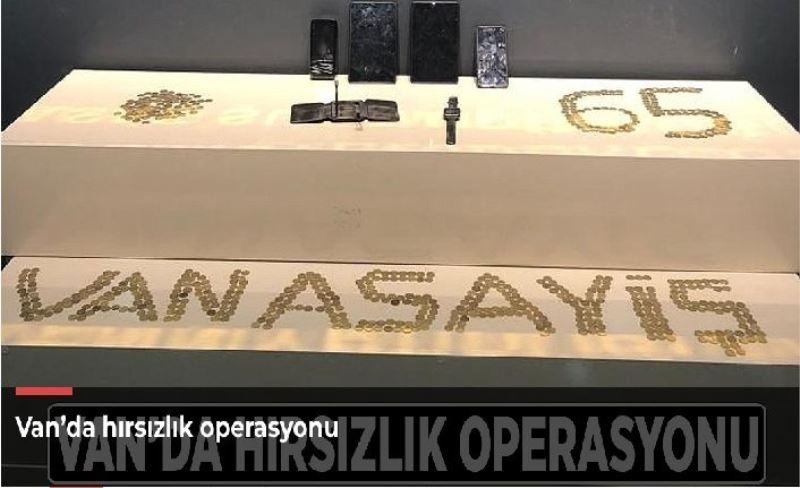 Van’da hırsızlık operasyonu