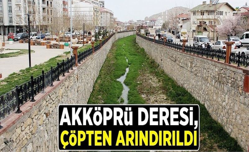 Akköprü Deresi, çöpten arındırıldı