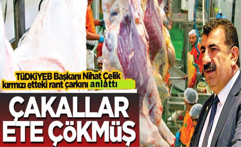 Çakallar ete çökmüş!