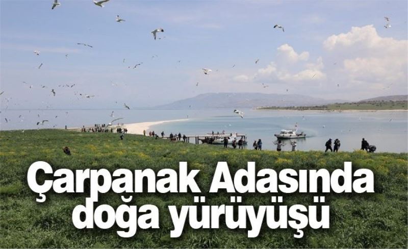 Çarpanak Adasında doğa yürüyüşü