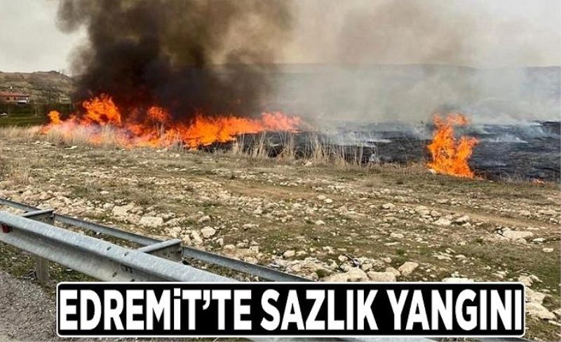 Edremit'te sazlık yangını