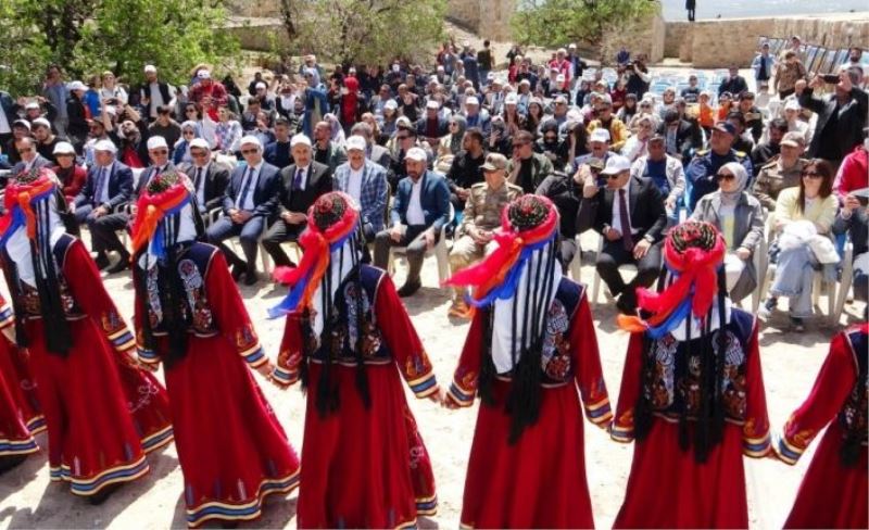 Gevaş'taki festival renkli görüntülere sahne oldu