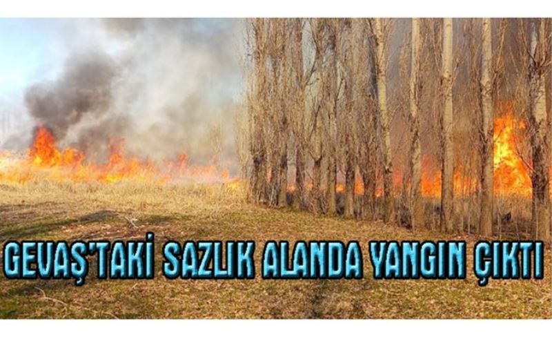 Gevaş'taki sazlık alanda yangın çıktı